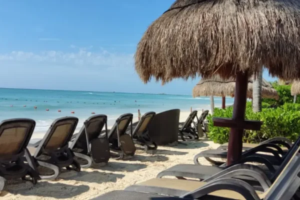 Elements Garden House 21