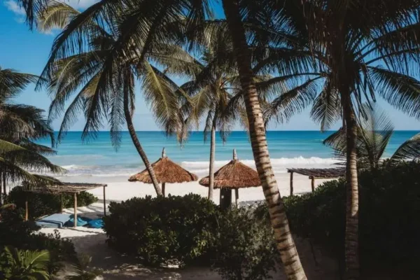 Palms House Tulum